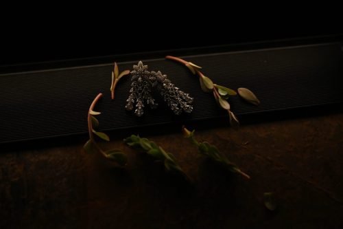 CKP_9737